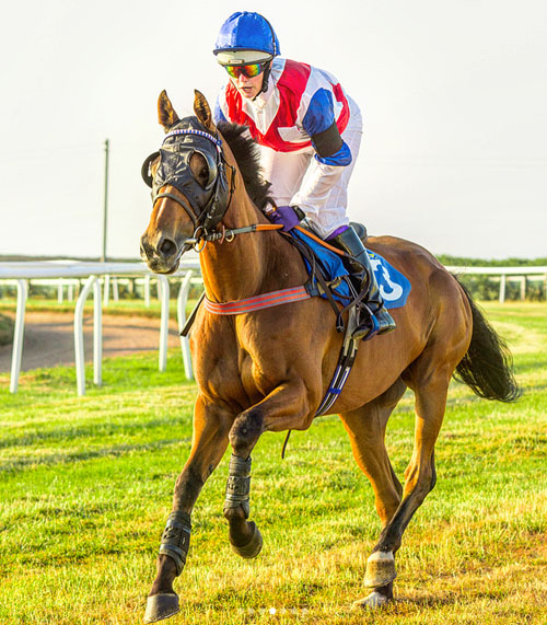 Horses Owned By British Racing Club